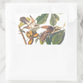 果樹のオードボン産の黄色いクッコ 長方形シール (バッグ)