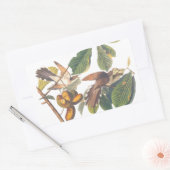 果樹のオードボン産の黄色いクッコ 長方形シール (封筒)