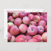 果樹園から生まれたりんご ポストカード (正面/裏面)