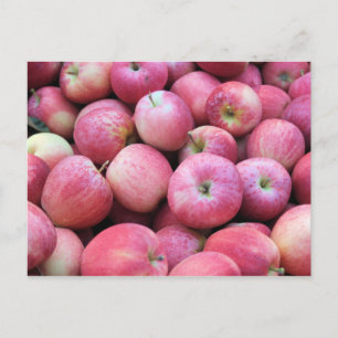 果樹園から生まれたりんご ポストカード