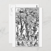 果樹園でリンゴを摘むブラウニー ポストカード (正面/裏面)