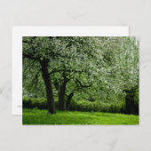 果樹園はがき ポストカード (正面/裏面)