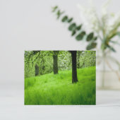 果樹園はがき ポストカード (スタンド正面)