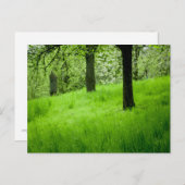 果樹園はがき ポストカード (正面/裏面)