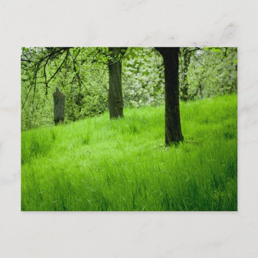 果樹園はがき ポストカード (正面)