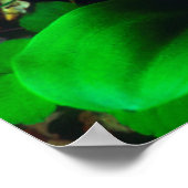 果樹園ワイルドフラワー ポスター (角)