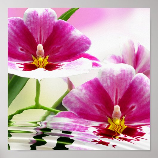 果樹林の波紋 ポスター (正面)