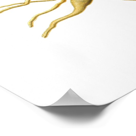 果樹状疱疹 ポスター (角)