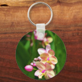 果樹科キーチェーン キーホルダー (正面)