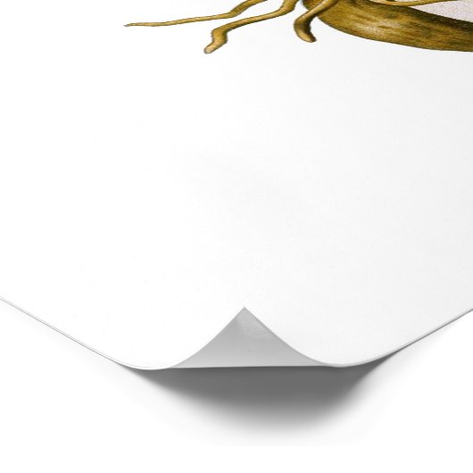 果樹蒼白 ポスター (角)