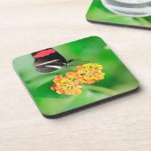 果汁をから集めている郵便集配人のrosinaの蝶 コースター (左側)