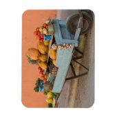 果物と野菜のカート,キューバ マグネット (縦)