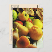 果物と野菜、りんごおよびナシ ポストカード (正面/裏面)