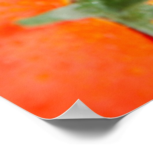 果物と野菜 ポスター (角)