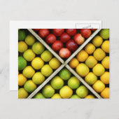 果物と食べ物はがき10 ポストカード (正面/裏面)