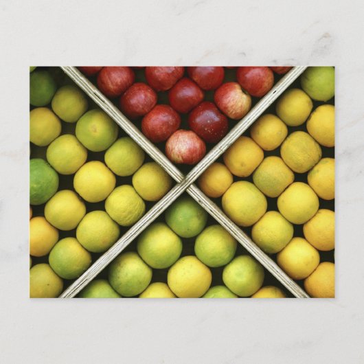 果物と食べ物はがき10 ポストカード (正面)