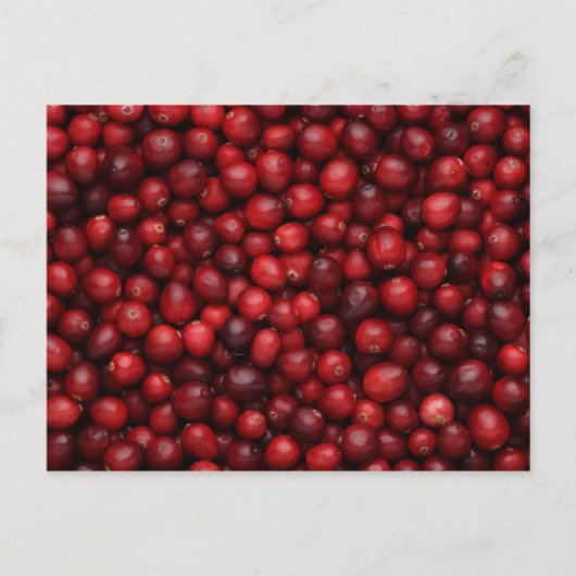 果物と食べ物はがき53 ポストカード (正面)