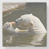 果物を食べるホッキョクグマの景色 ストーンコースター (正面)