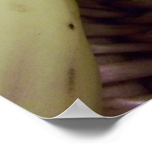 果物籠の終わり… ポスター (角)