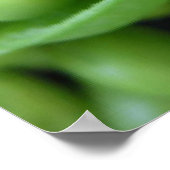 果物野菜 ポスター (角)