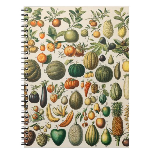 果物 野菜 ボタニカル 科学 イラスト ノートブック (正面)