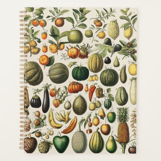 果物 野菜 植物学的 科学的 イラストレーション プランナー手帳 (正面)