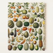 果物 野菜 植物学的 科学的 イラストレーション プランナー手帳 (裏面)