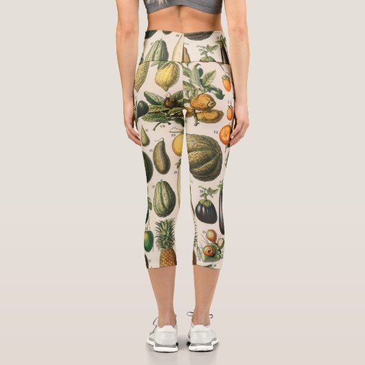 果菜植物科学イラストレーション カプリレギンス (裏面)