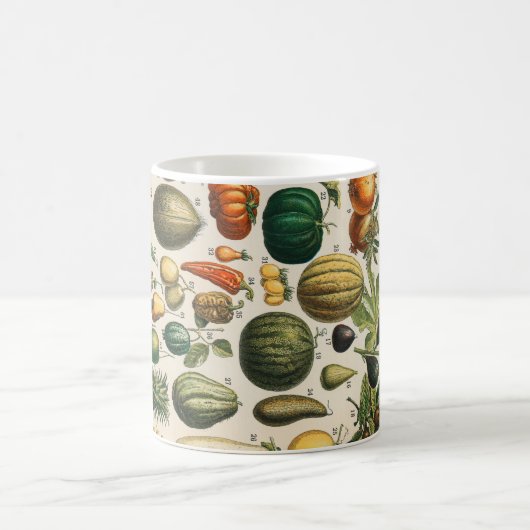 果菜植物科学イラストレーション コーヒーマグカップ (中央)