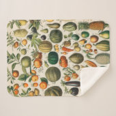 果菜植物科学イラストレーション シェルパブランケット (正面(横))