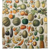 果菜植物科学イラストレーション シャワーカーテン (正面)