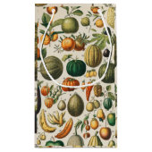 果菜植物科学イラストレーション スモールペーパーバッグ (裏面)