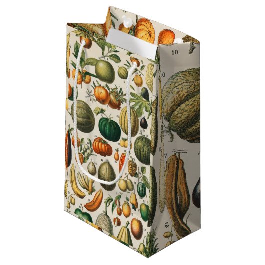 果菜植物科学イラストレーション スモールペーパーバッグ (正面アングル)