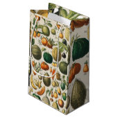 果菜植物科学イラストレーション スモールペーパーバッグ (裏面アングル)