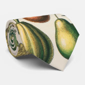 果菜植物科学イラストレーション ネクタイ (ロール)