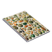 果菜植物科学イラストレーション ノートブック (右側)