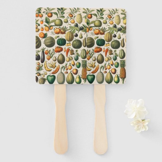 果菜植物科学イラストレーション ハンドファン (正面&裏面)