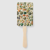 果菜植物科学イラストレーション ハンドファン (裏面)