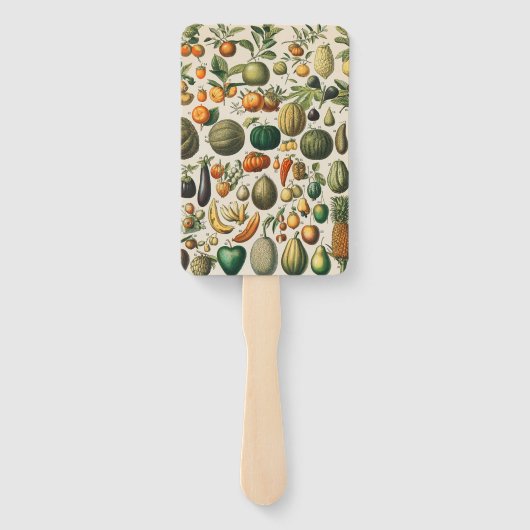 果菜植物科学イラストレーション ハンドファン (裏面)