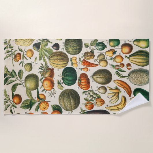 果菜植物科学イラストレーション ビーチタオル (正面)