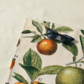 果菜植物科学イラストレーション ビーチタオル (インサイチュ)