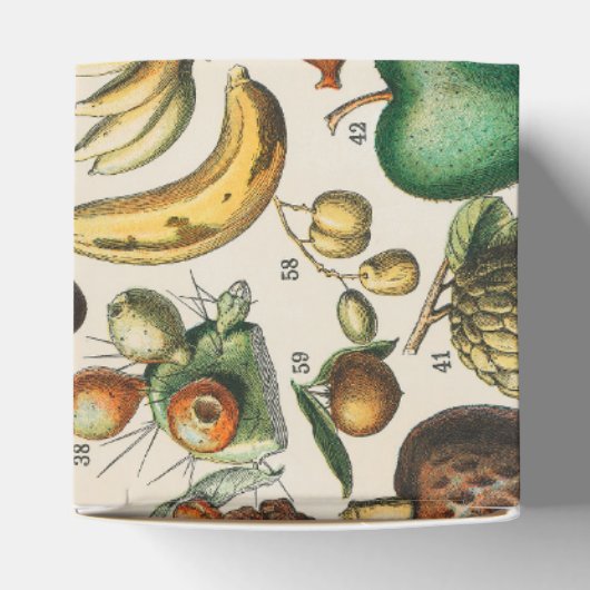 果菜植物科学イラストレーション フェイバーボックス (上部)