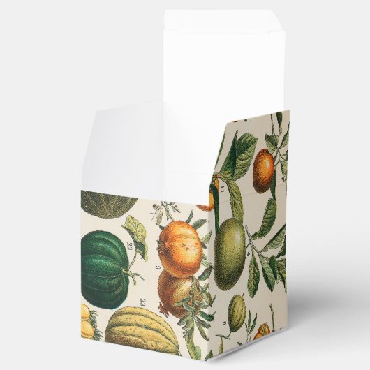 果菜植物科学イラストレーション フェイバーボックス (オープン)