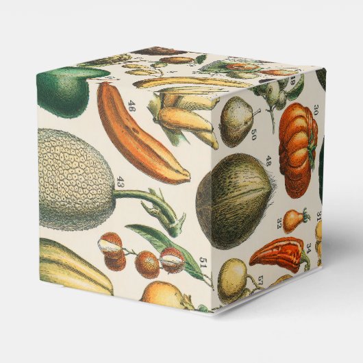 果菜植物科学イラストレーション フェイバーボックス (裏面サイド)