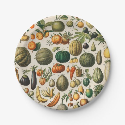 果菜植物科学イラストレーション ペーパープレート (正面)