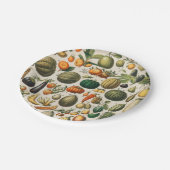 果菜植物科学イラストレーション ペーパープレート (アングル)