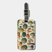 果菜植物科学イラストレーション ラゲッジタグ (正面縦)