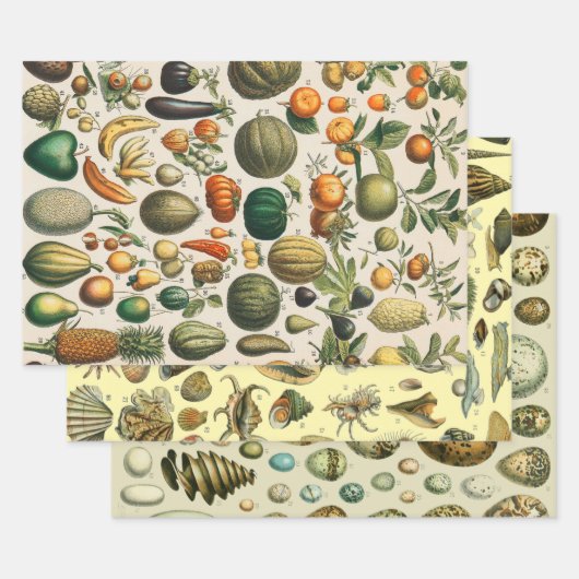 果菜植物科学イラストレーション ラッピングペーパーシート (セット)