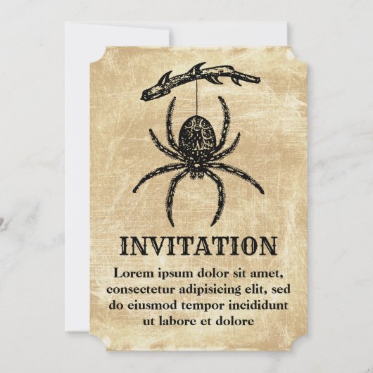 枝からぶら下がるビンテージの蜘蛛 招待状 (正面)