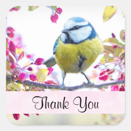 枝かわいらしに青と黄色の鳥ありがとう スクエアシール (正面)